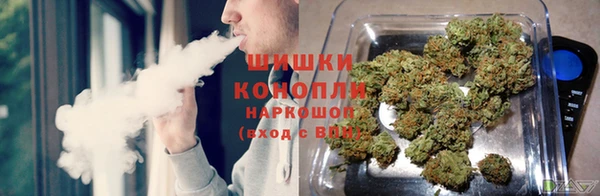 ГАЛЛЮЦИНОГЕННЫЕ ГРИБЫ Алексин