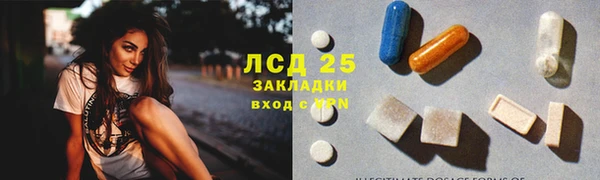 ГАЛЛЮЦИНОГЕННЫЕ ГРИБЫ Алексин
