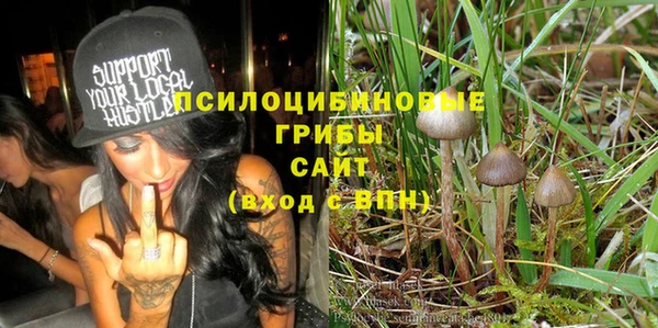 соль курить ск Алзамай