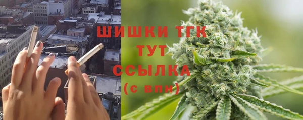 гидропоника Рославль