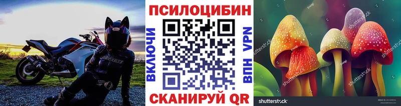 Псилоцибиновые грибы Magic Shrooms  Жуков 